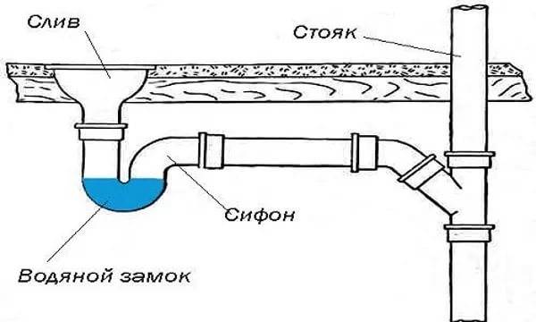 Гидрозатвор для канализации: виды, принцип работы и правила установки с фото