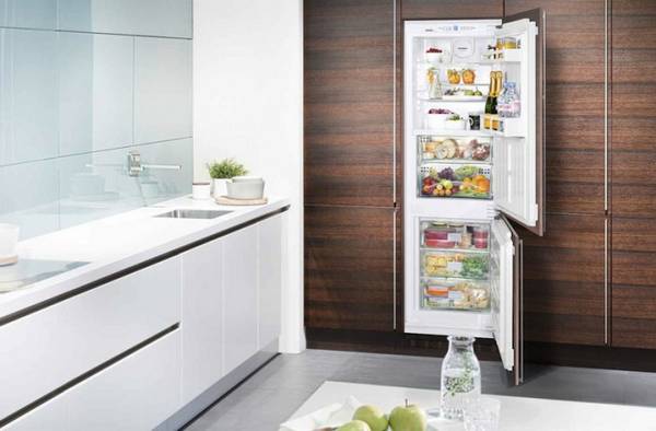 ТОП 10 встраиваемых холодильников в 2016 году - фото