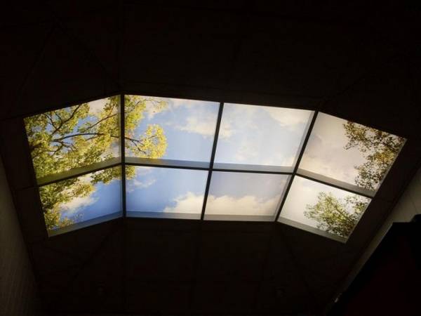 Натяжные потолки с картинами 3D - фото